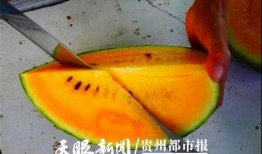 贵阳吃瓜爆料视频最新消息,揭秘视频背后的惊人真相