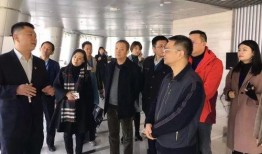 郑州爆料最新新闻事件,惊现神秘事件引发社会关注