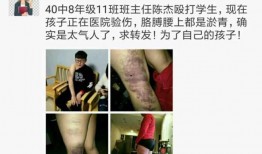 网友先生爆料视频大全集,揭秘网络热点背后的真相