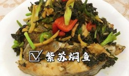 罗非鱼邻居爆料视频,揭秘水下生活点滴