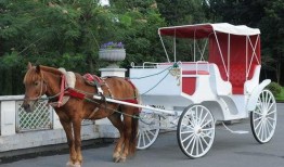 皇家马车爆料视频大全集,视频大全集深度解析