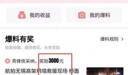 南充头条最新爆料,揭秘重大事件背后真相