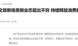 新闻爆料采访内容怎么写,深度解析采访内容背后的真相