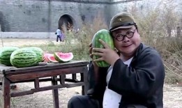 搞笑吃瓜瞬间视频大全免费观看,笑料百出！搞笑吃瓜瞬间视频大全免费畅享