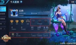 王者之影爆料视频下载
