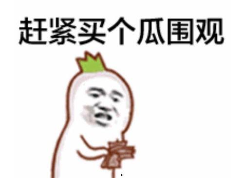 吃瓜群众表情图,揭秘网络热议背后的众生相