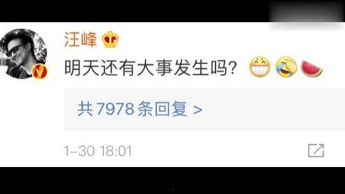 娱乐吃瓜网718,揭秘娱乐圈最新热点事件